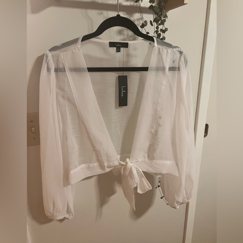 Lulus Sheer Tie Front Crop top